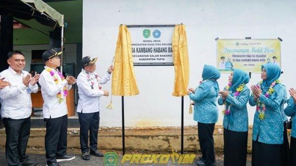 BUKA - Wakil Bupati Tapin H Juanda membuka tirai SD