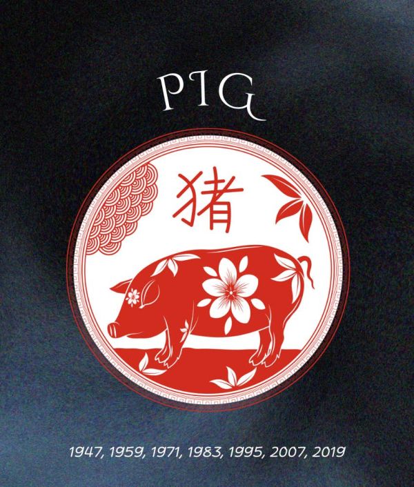 pig chinese zodiac signs luck abundance June 20 2025