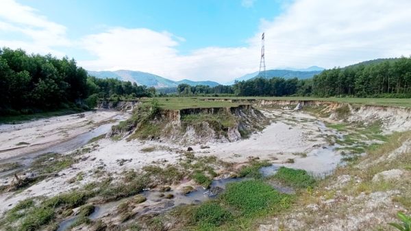 Chế tài nào khi doanh nghiệp gây hậu quả xong xin phá sản? - Ảnh 1. phá sản - Ảnh 1.