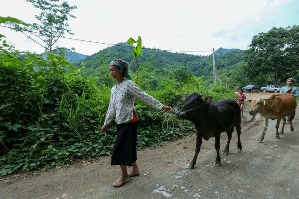 Pác Rà - Ảnh 13.