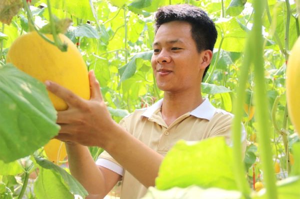 nông nghiệp xanh - Ảnh 1.