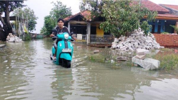 TEROBOS ROB - Seorang pengendara motor terobos genangan air rob di Kecamatan Sayung, Kabupaten Demak, Jumat (20/6/2025). Imbas dari banjir rob tersebut, tak sedikit pengendara motor mengeluhkan kendaraannya mudah rusak.