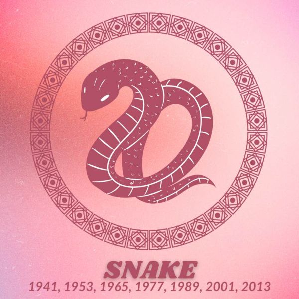 snake chinese zodiac signs luck good fortune June 25 2025