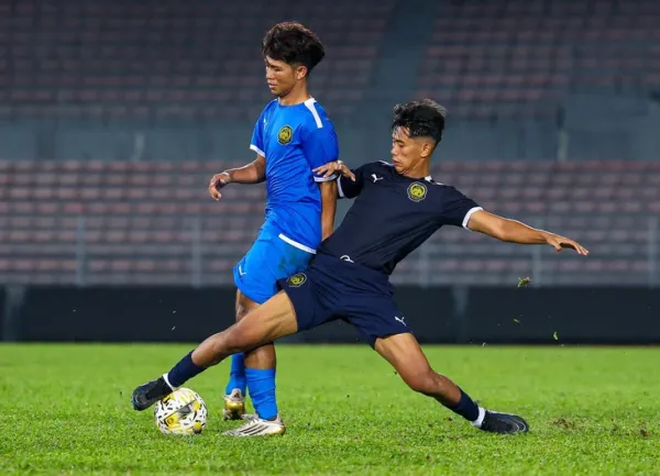 Malaysia - Ảnh 1.