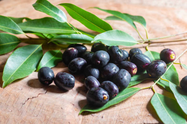 Raw jamun, black plum or java plum on an wooden background. Raw jamun, black plum or java plum on an wooden background. Jamun Seeds Stock Pictures, Royalty-Free Photos & Images