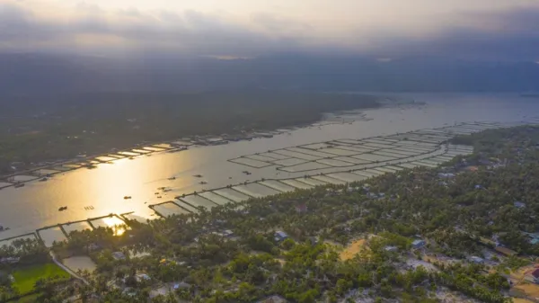 Du lịch bền vững ở Việt Nam 2025: An Giang, Hà Tĩnh, Hà Nam, Phú Yên, Quảng Nam - Ảnh 1. du lịch bền vững - Ảnh 1.