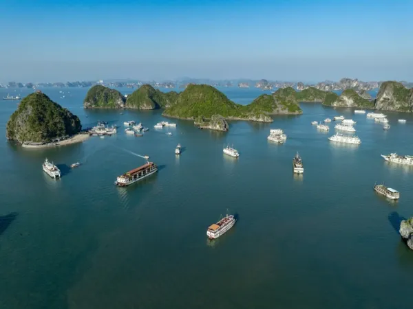 Du khách nước ngoài tử vong khi ăn sáng trên tàu du lịch ở vịnh Hạ Long - Ảnh 1. du khách - Ảnh 1.