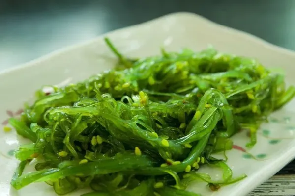 kelp atau seaweed