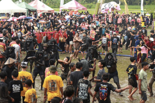 Tradisi Keboan Aliyan di Banyuwangi, Warga kerasukan leluhur layaknya Kerbau. Foto: Dok. kumparan