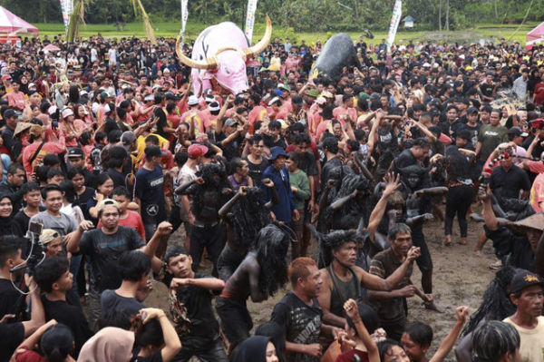 Tradisi Keboan Aliyan di Banyuwangi, Warga kerasukan leluhur layaknya Kerbau. Foto: Dok. kumparan