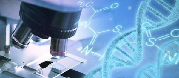 Alzheimer's Gene Therapy Offers New Hope in Preventing Brain Damage Alzheimer's Gene Therapy Offers New Hope in Preventing Brain Damage