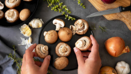 Mushrooms include dietary dietary