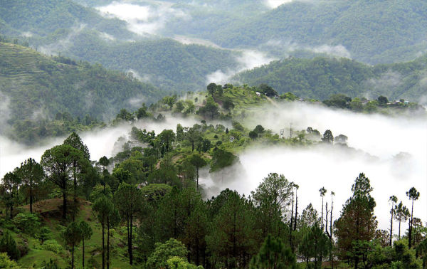 Uttarakhand Hill Station Lansdowne on Cloud - Amar Ujala Hindi News Live - See in pictures, this hill station situated among the clouds in Uttarakhand