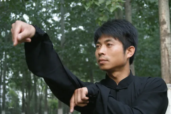 kung fu - Ảnh 1.