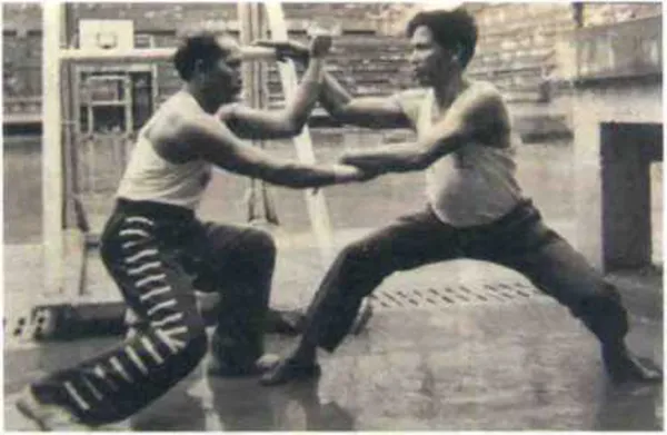kung fu - Ảnh 3.