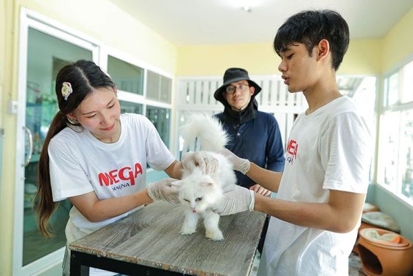 เพื่อนตัวเล็ก - น้องหมาเดินสะสมก้าว แลกวัคซีนช่วยเพื่อน