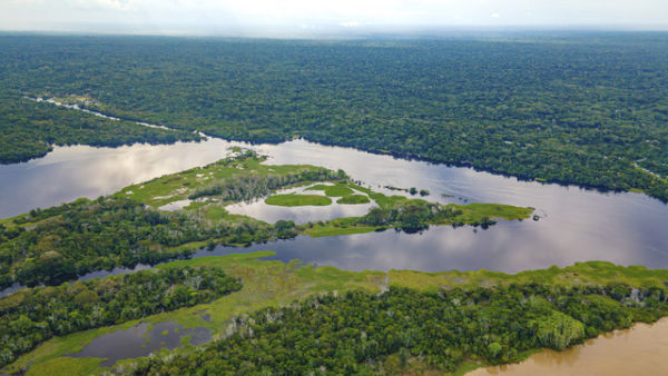 Hutan Amazon. Foto: Shutterstock