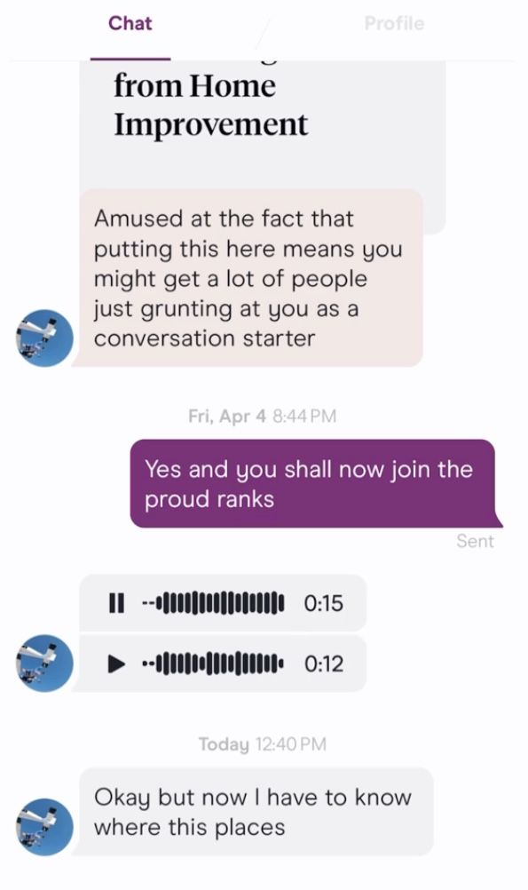 Screenshot of a dating app conversation referencing Tim Allen's grunts from Home Improvement.