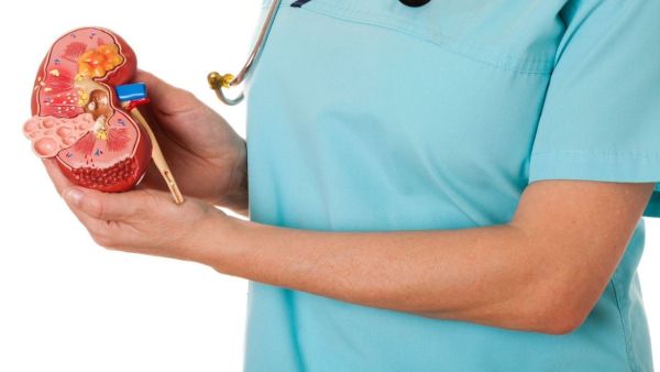 How does drinking too much water spoil the kidney?