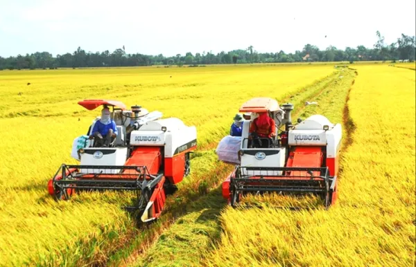 Tổng điều tra nông thôn, nông nghiệp toàn quốc - Ảnh 1.