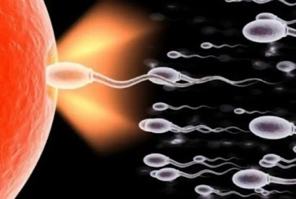 Man will help increase power and sperm count -all these things