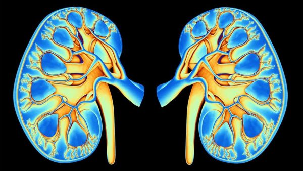 5 initial signs of kidney failure in diabetes, do not ignore