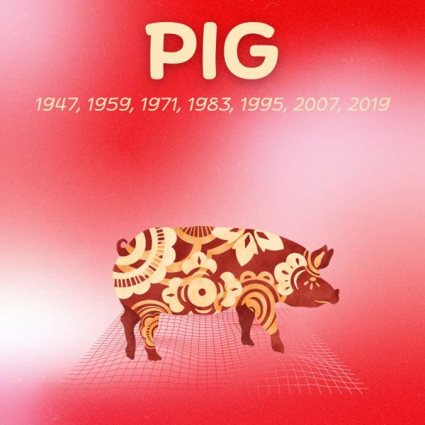 pig chinese zodiac signs luck good fortune July 3 2025