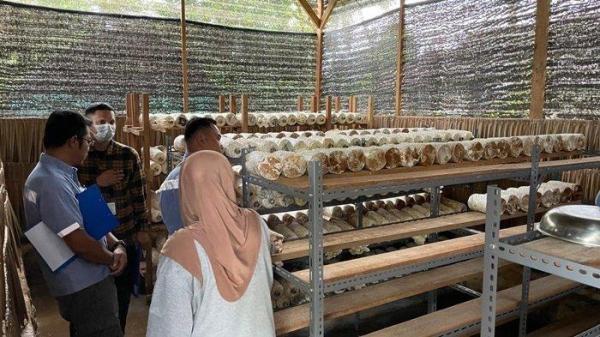 Verifikasi Lapangan Rumah Produksi UMKM.