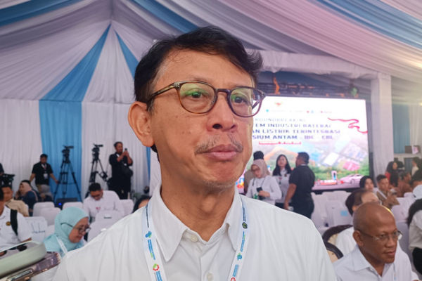 Direktur Utama PT Indonesia Battery Corporation (IBC) Toto Nugroho saat ditemui di Kawasan Artha Industrial Hills (AIH) Karawang, Minggu (29/6/2025). Foto: Fariza Rizky Ananda/kumparan
