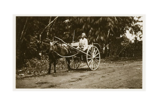 Foto kolam renang Selecta di Malang yang diambil tahun 1934