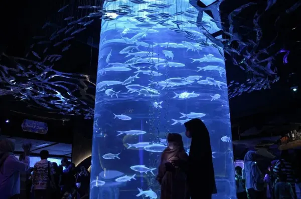 Pengunjung melihat ikan piranha di Jakarta Aquarium Safari, Neo Soho Mall, Jakarta, Rabu (27/12/2023). Menteri Pariwisata dan Ekonomi Kreatif Sandiaga Uno memproyeksikan momentum libur Natal 2023 dan Tahun Baru 2024 dapat memberikan kontribusi hingga Rp120 triliun terhadap perekonomian nasional. ANTARA FOTO/Aloysius Lewokeda/sgd/Spt.