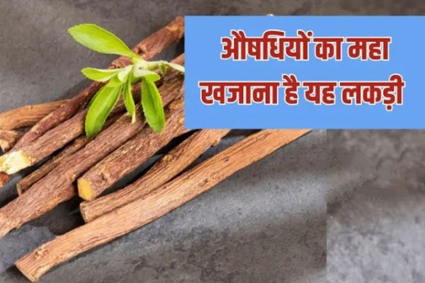 This wooden water is the Maha Khan of precious qualities, even if a sip has come down from the circle, then the benefits of 300 compounds, stomach wounds ...