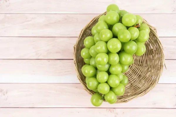 Diskon anggur muscat.