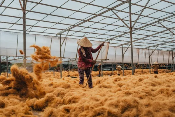Ai về xứ dừa cùng nhiếp ảnh gia Nguyễn Khánh Vũ Khoa - Ảnh 1. Bến Tre - Ảnh 1.