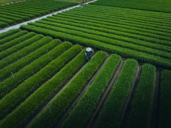 Ai về xứ dừa cùng nhiếp ảnh gia Nguyễn Khánh Vũ Khoa - Ảnh 6. Bến Tre - Ảnh 6.