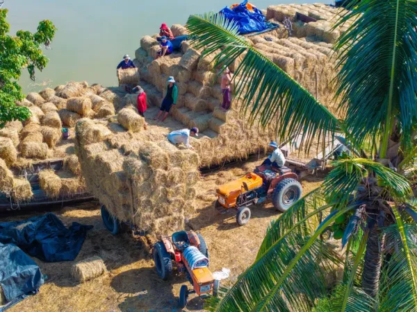 Ai về xứ dừa cùng nhiếp ảnh gia Nguyễn Khánh Vũ Khoa - Ảnh 7. Bến Tre - Ảnh 7.