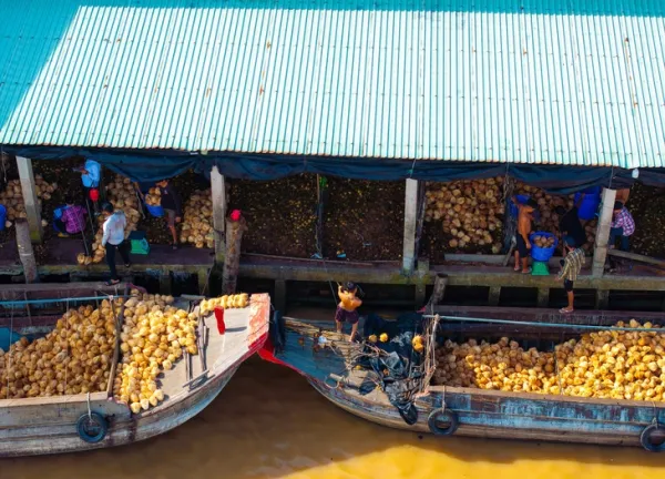 Ai về xứ dừa cùng nhiếp ảnh gia Nguyễn Khánh Vũ Khoa - Ảnh 14. Bến Tre - Ảnh 14.