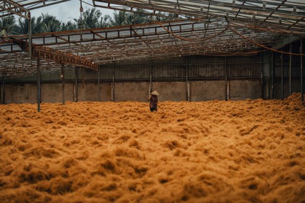Ai về xứ dừa cùng nhiếp ảnh gia Nguyễn Khánh Vũ Khoa - Ảnh 16. Bến Tre - Ảnh 16.