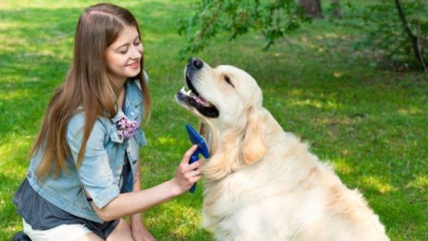 (Image Source: Pinterest/topdogtips)