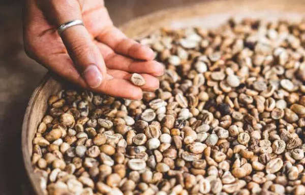 चिरॉनजी: दुष्काळाचे काजू आरोग्यासाठी फायदेशीर आहेत
