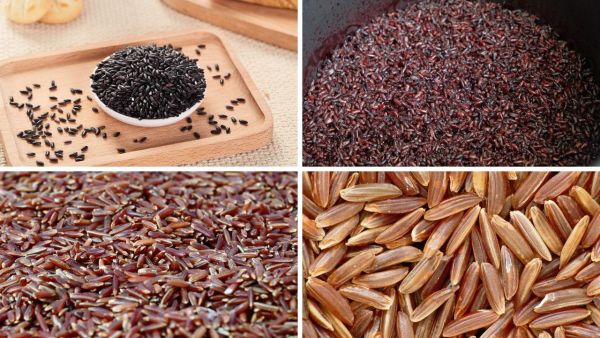 Leave white rice ... You get a treasure of nutrients in the country, these 5 types of rice