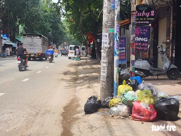 Nhiều phường mới ở Đồng Nai ngưng gom rác, sở phải vào cuộc - Ảnh 3.