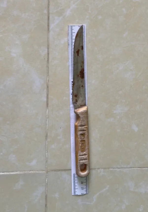 bắt khẩn cấp - Ảnh 2.