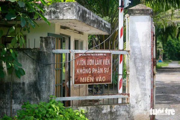 Thủ Thiêm - Ảnh 8.