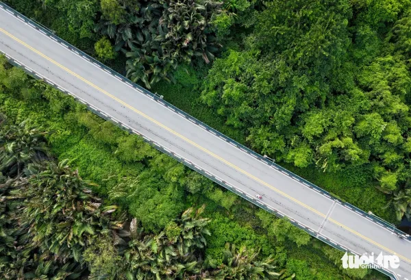 Mướt mắt rặng dừa, lau sậy xanh um giữa lòng Thủ Thiêm - Ảnh 10.