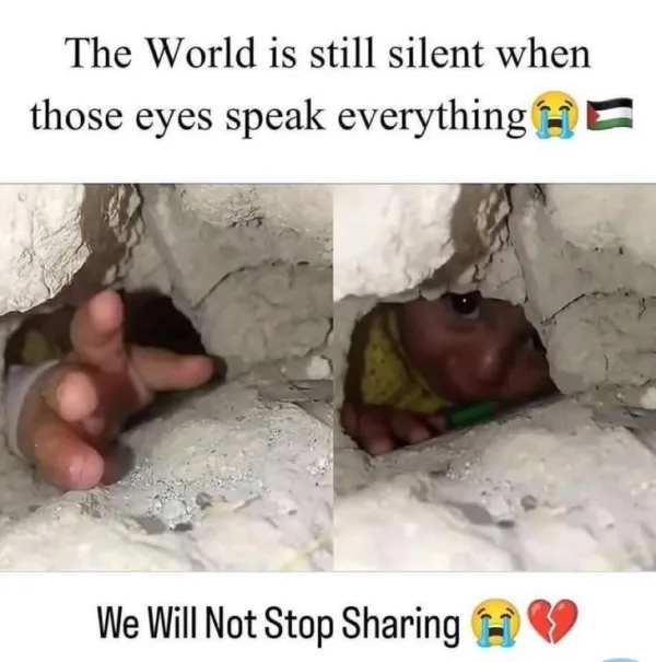 Palestine - Ảnh 1.