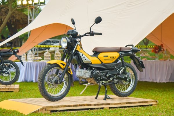 Yamaha PG-1 - Ảnh 2.