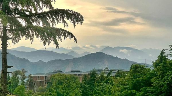 Hill Station Near Shimla: A beautiful place like heaven is just 50 km from Shimla, will be relaxed here