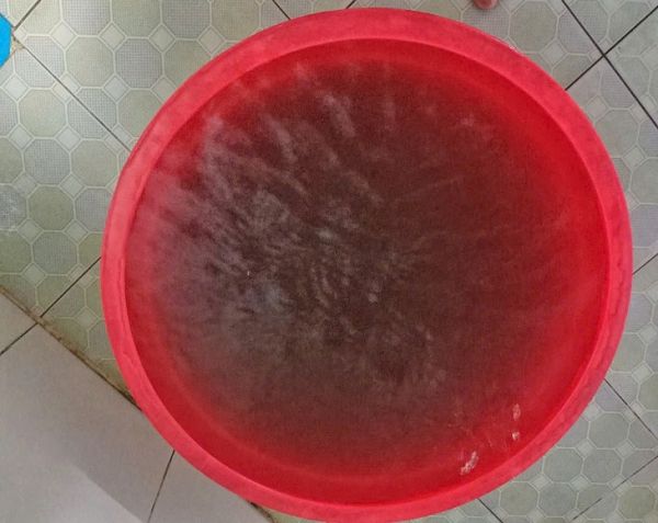'Nước sạch' đục ngầu, nổi bọt, đơn vị quản lý nói 'nước được xử lý kỹ lưỡng' - Ảnh 2.