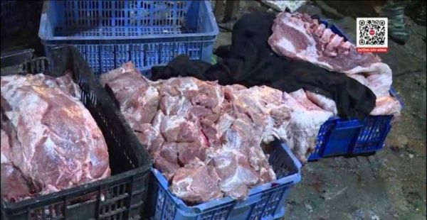 Phá đường dây thu gom, giết mổ heo bệnh bán cho chợ, quán ăn, nhà hàng khắp Hà Nội- Ảnh 3. Phá đường dây thu gom, giết mổ heo bệnh bán cho chợ, quán ăn, nhà hàng khắp Hà Nội- Ảnh 3.